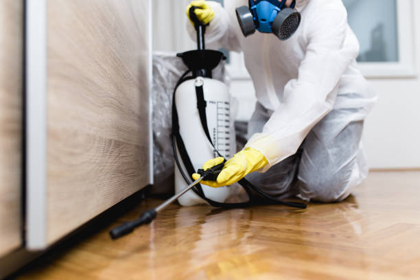 Best Pest Removal Services  in Kenai, AK