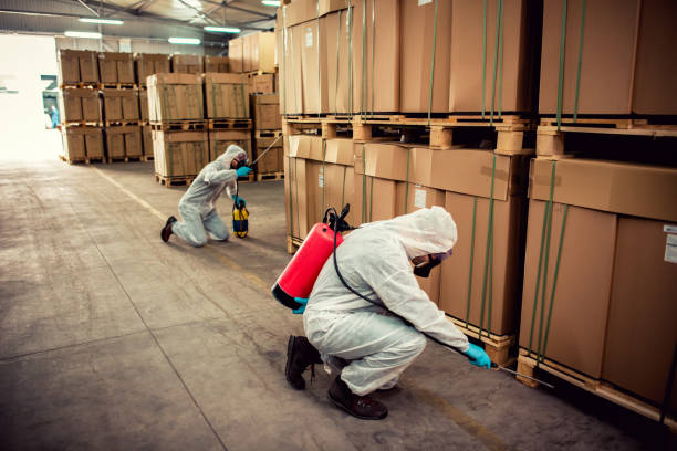 Best Local Pest Control Services  in Kenai, AK