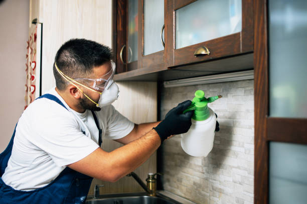 Trusted Kenai, AK Pest Control Experts