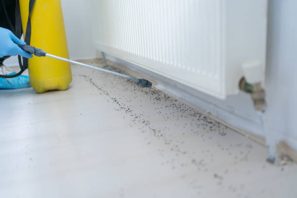 Best Commercial Pest Control Services  in Kenai, AK