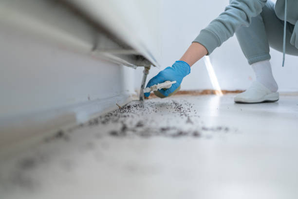 Best Exterminator Services  in Kenai, AK